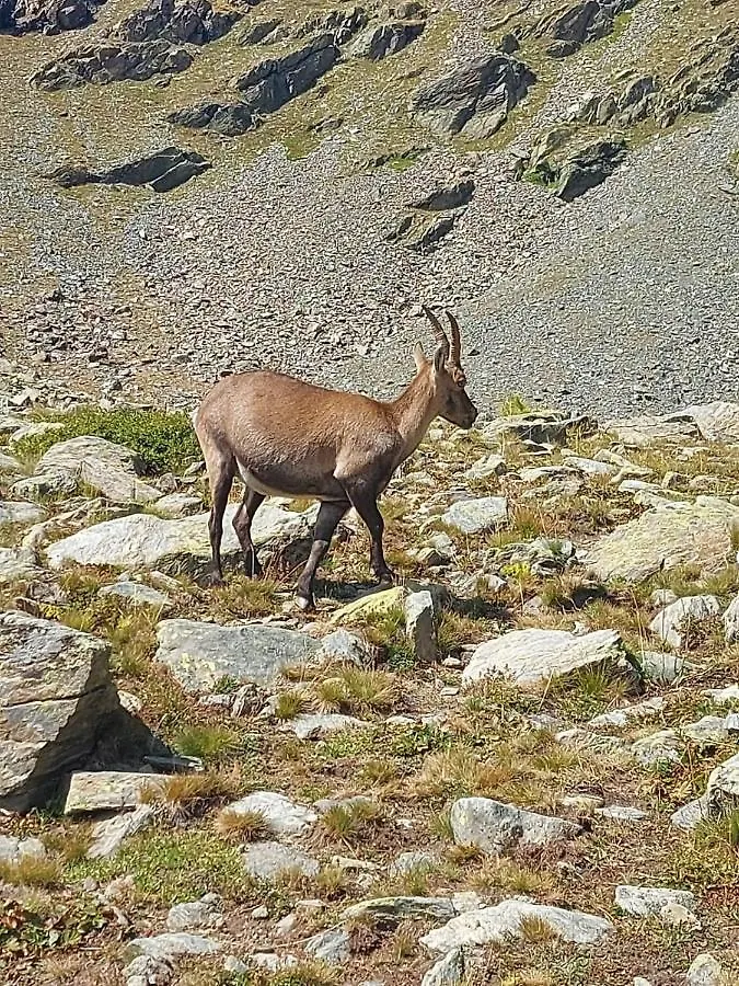 Les Hauts Du Roux Abries 0*,  France